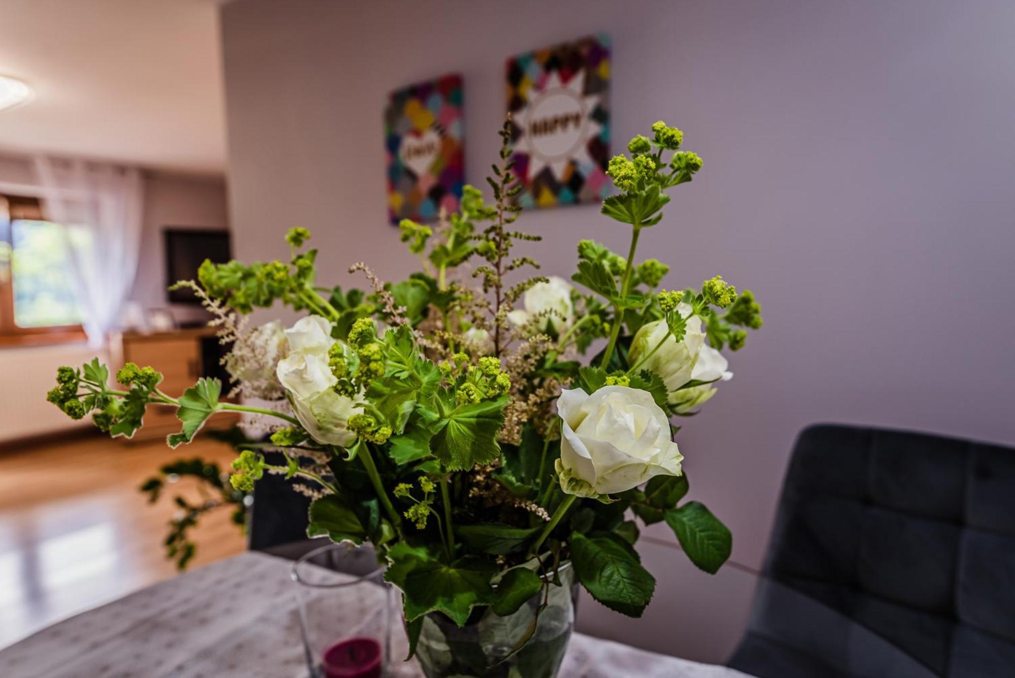 Apartamenty Widok Szczawnica Extérieur photo