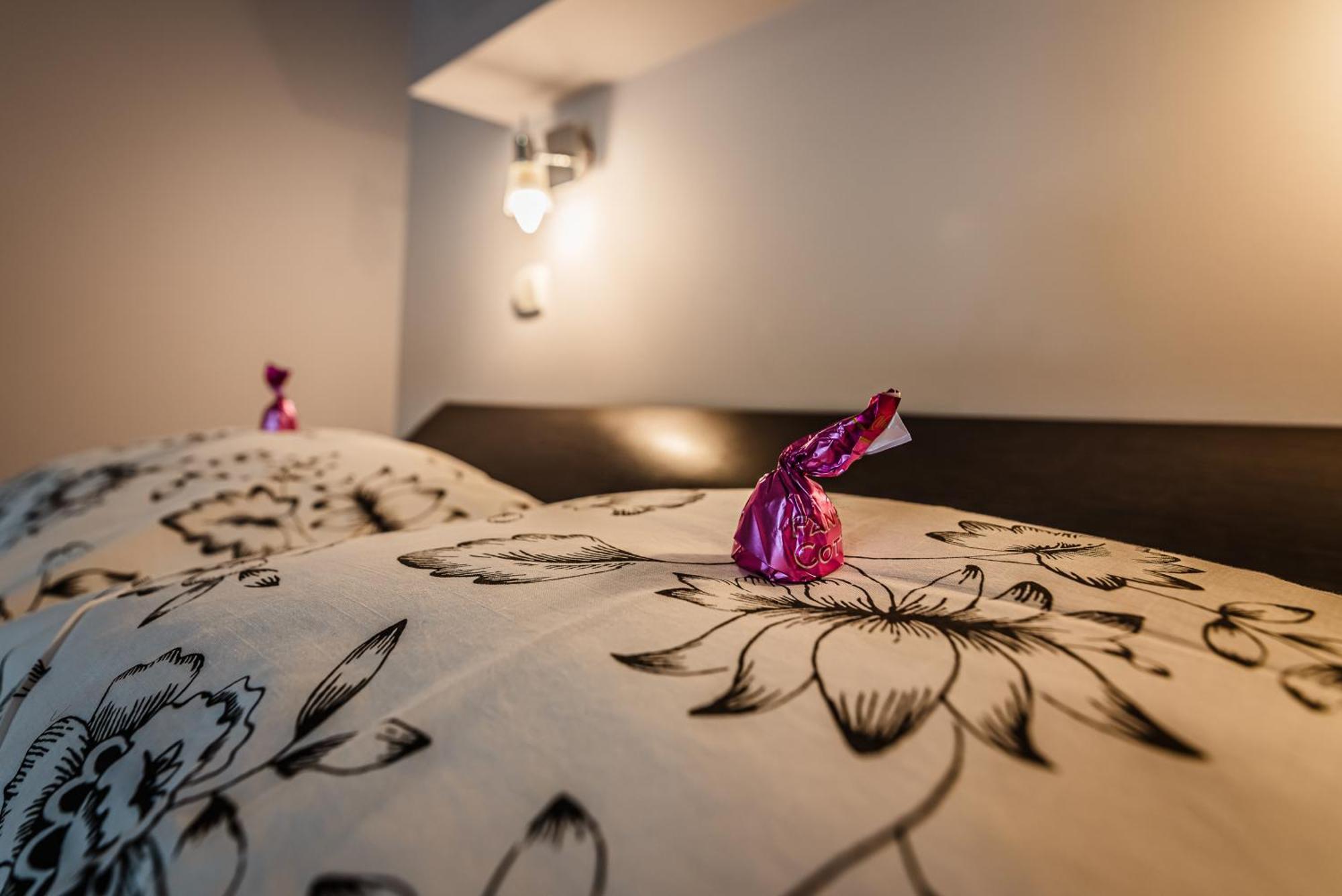 Apartamenty Widok Szczawnica Extérieur photo